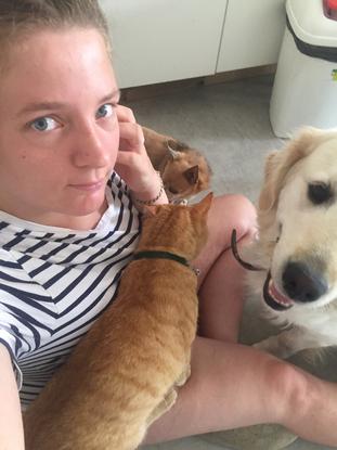 Tout le monde près de la petsiteuse