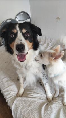 Le bisous à fybie pour son dernier jour à la maison 