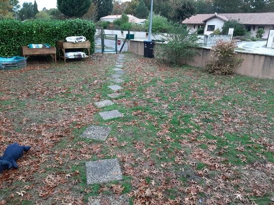 Jardin 