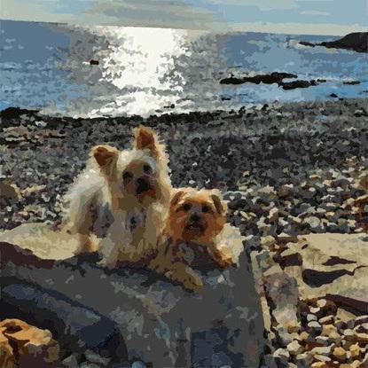 Bandy et Mickette (frère et soeur)