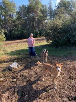 Avec Lucky et Titan dans la pinède