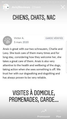 Charlie et Lexy (garde+promenades à domicile depuis 2018)