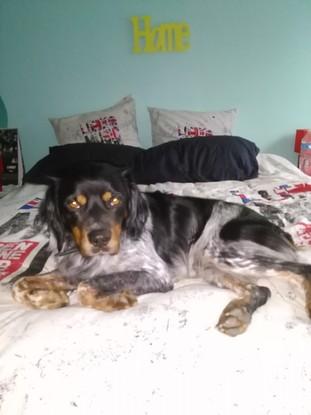 Hugo