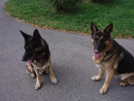 The boys