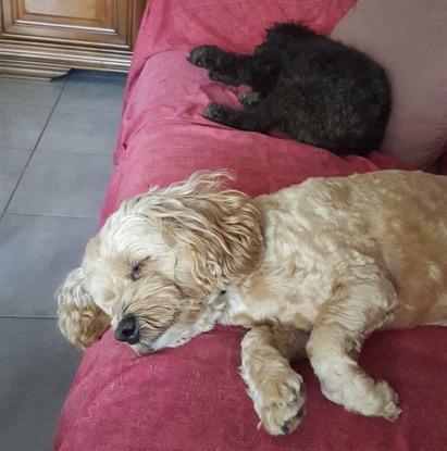 nap time