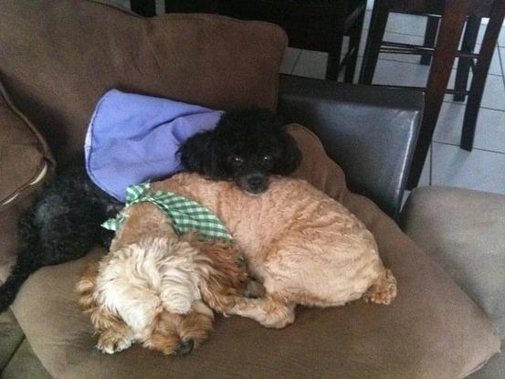 Besties. 