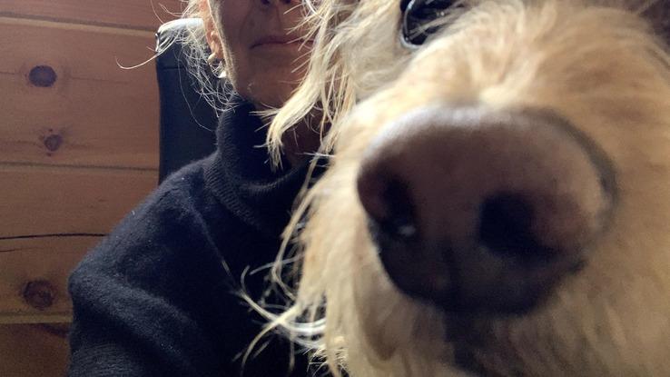 selfie