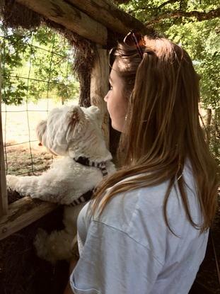 Balade dans un parc (je lui montrais les animaux)