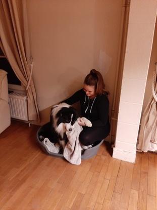 Il adore jouer avec sa serviette et il adore quand je viens dans son panier