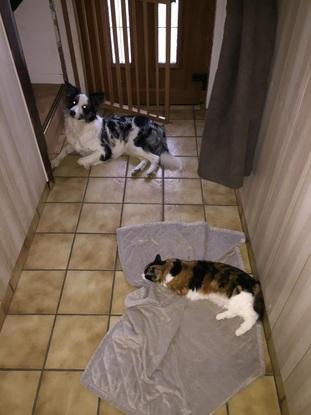 Olympe et Praline