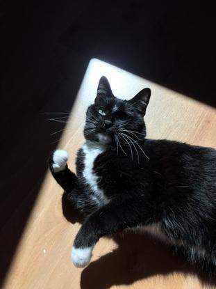 Onyx
