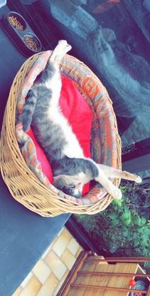 Petit cœur ♥️ (sauvetage retraite)