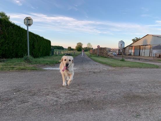 Voici Eïka!