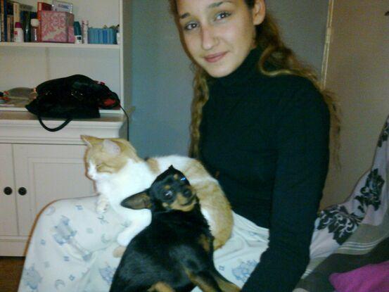 Mon chat et mon chien