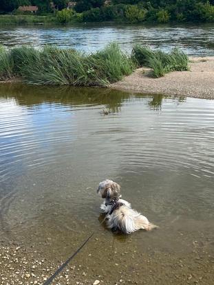 Rania dans l’eau
