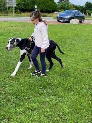 Rencontre avec d’autres chien