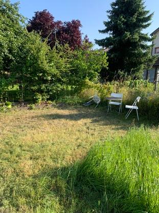 Une partie du jardin 🏡