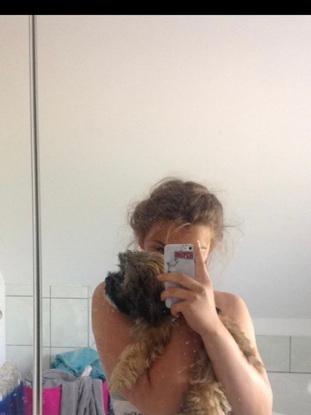 Teddy mon premier dog-sitting