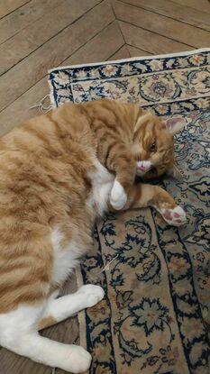 Tout rond, tout mignon ❤