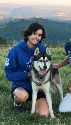 Whisky le gentil husky!