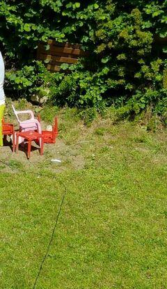 Mon jardin
