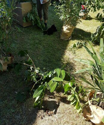Mon jardin