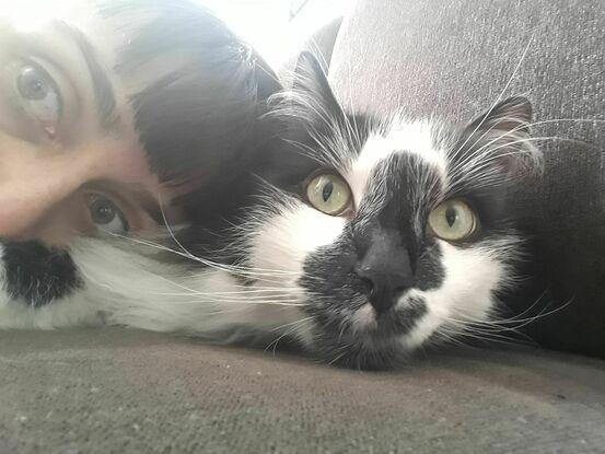 Mon chat Billy