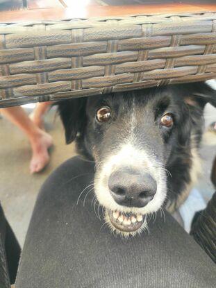 Coucou c'est moi !