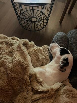 Petit dodo devant la télé