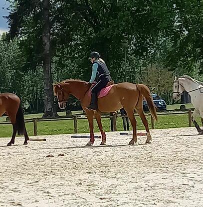 Un de mes derniers  cours d'équitation