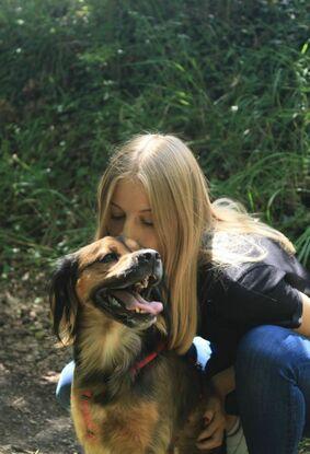 Roxy ma chienne