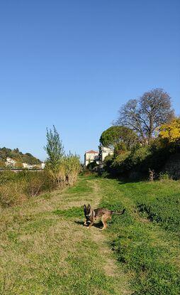 Promenons nous dans les bois !