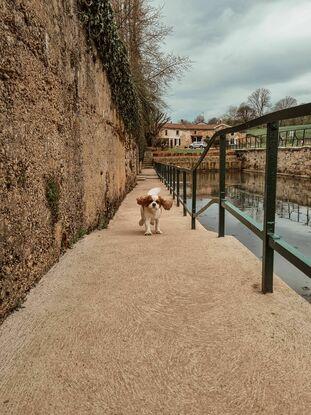 Promenade dans nos villages