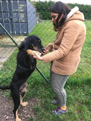 Mon chien, que j'emmène parfois avec moi à la spa et qui adore voir ses copains