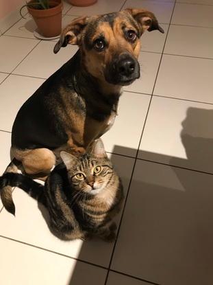 Lulu et patapouf
