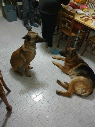 Ouchka et Jade sa copine