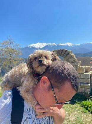 Endjy notre deuxième petit chien