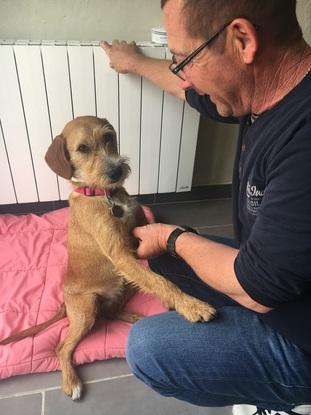 Natty que nous gardons de temps en temps depuis qu’elle est bébé