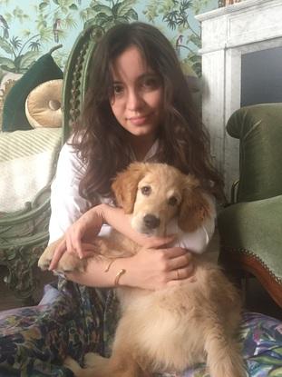 Vanille un chiot Golden Retriever de 3 «mois adorable