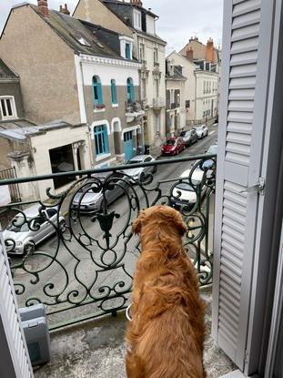 Hawaï pour l’échelle par rapprt au balconet