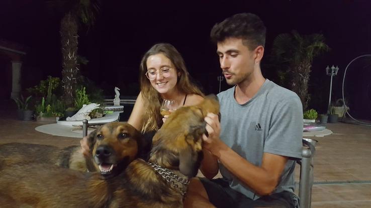 La garde des chiens de mes amis l'été passé