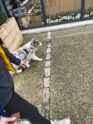 Seïko en promenade