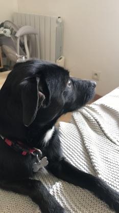 Mon amour Aïko