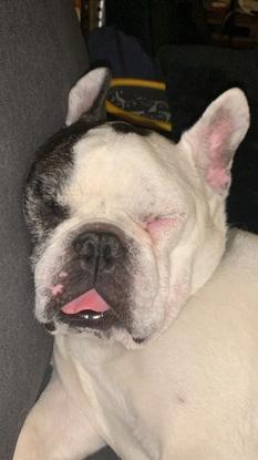 Bonne nuit !😴