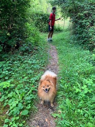 En promenade avec Lewis