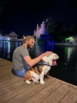 Spike le bulldog anglais