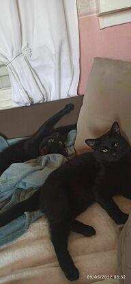 Blacky et Mimoune