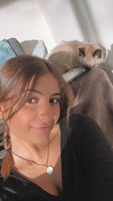 Mon chat