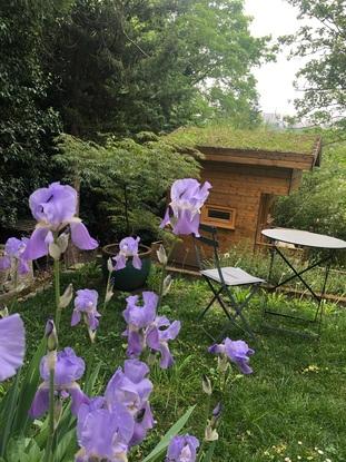 une partie de mon jardin