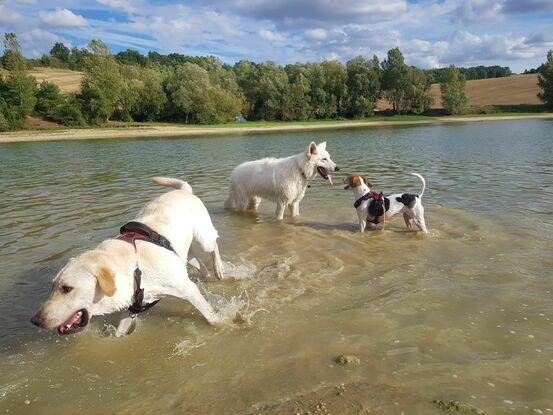 Ballade à Bajamont avec des copains